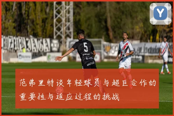 范弗里特谈年轻球员与超巨合作的重要性与适应过程的挑战