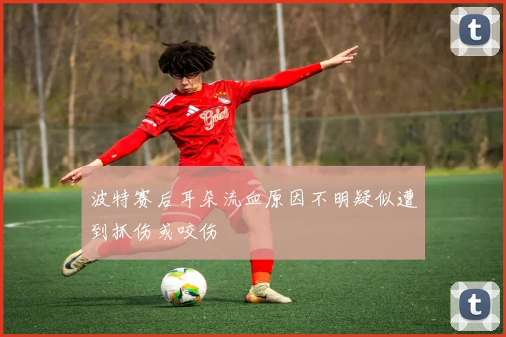波特赛后耳朵流血原因不明疑似遭到抓伤或咬伤